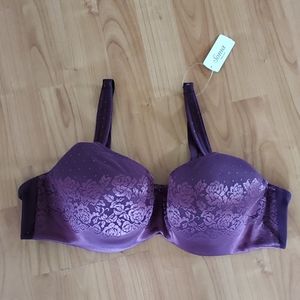 Contour Solutions bra